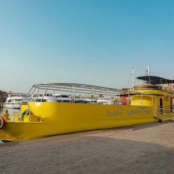 Hurghada Underwater Semi Submarine and Snorkeling